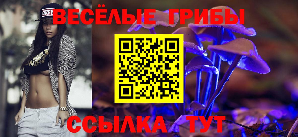 Псилоцибиновые грибы ЛСД Избербаш